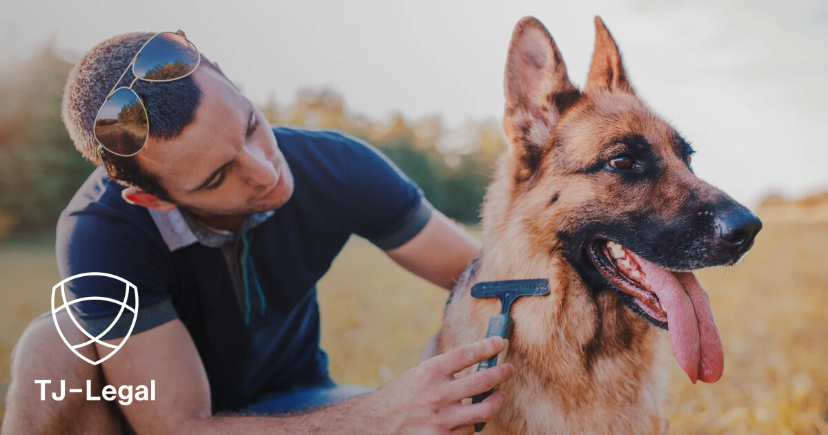 Hundesteuer - daň za psa v Nemecku